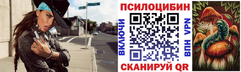 купить наркотики цена  Заозёрный  ОМГ ОМГ зеркало  Галлюциногенные грибы Psilocybine cubensis 